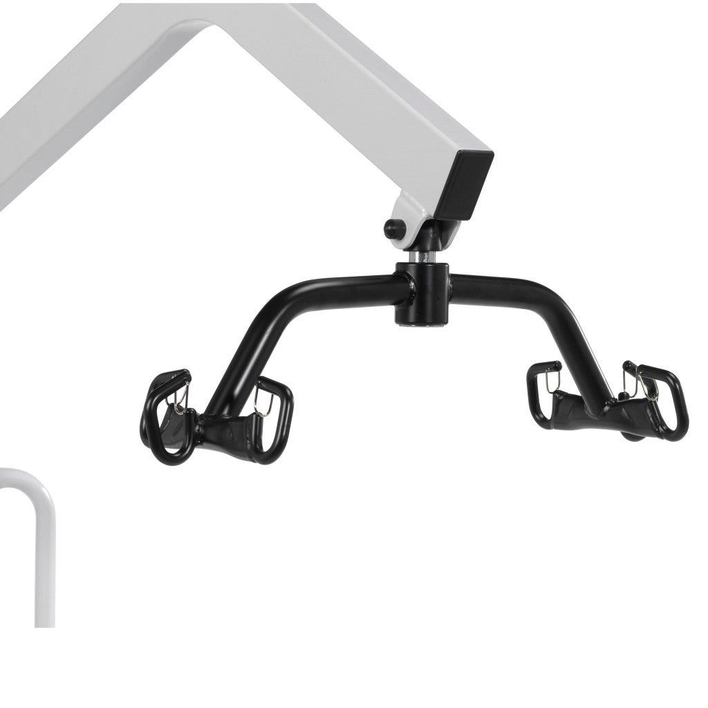 Electric Lift - 450 lb Capacity (Special Order)